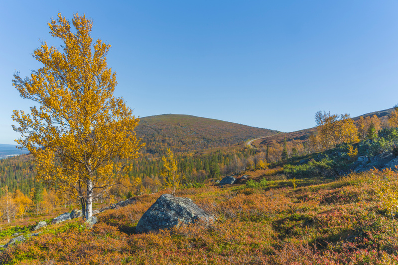 Dundrets baksida Gällivare