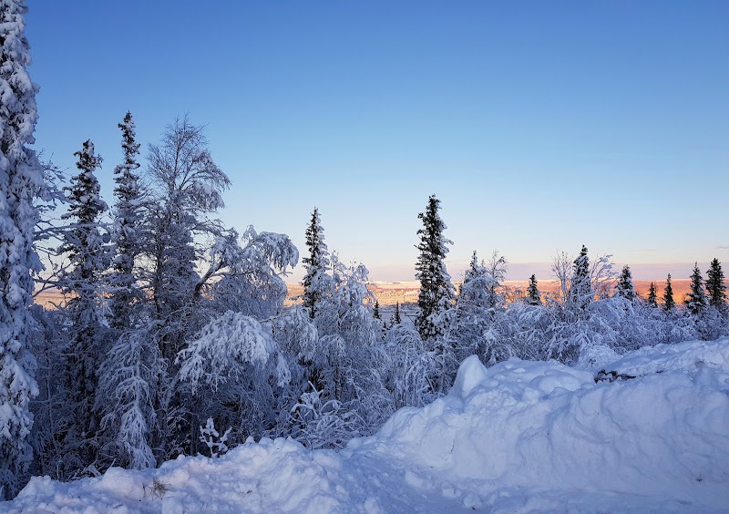 Man i 45-årsåldern häktad efter skottlossning i Gällivare